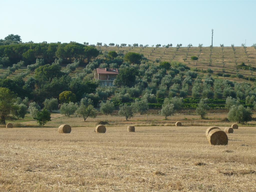 Agriturismo San Lino-Gilberto 마사마리티마 외부 사진